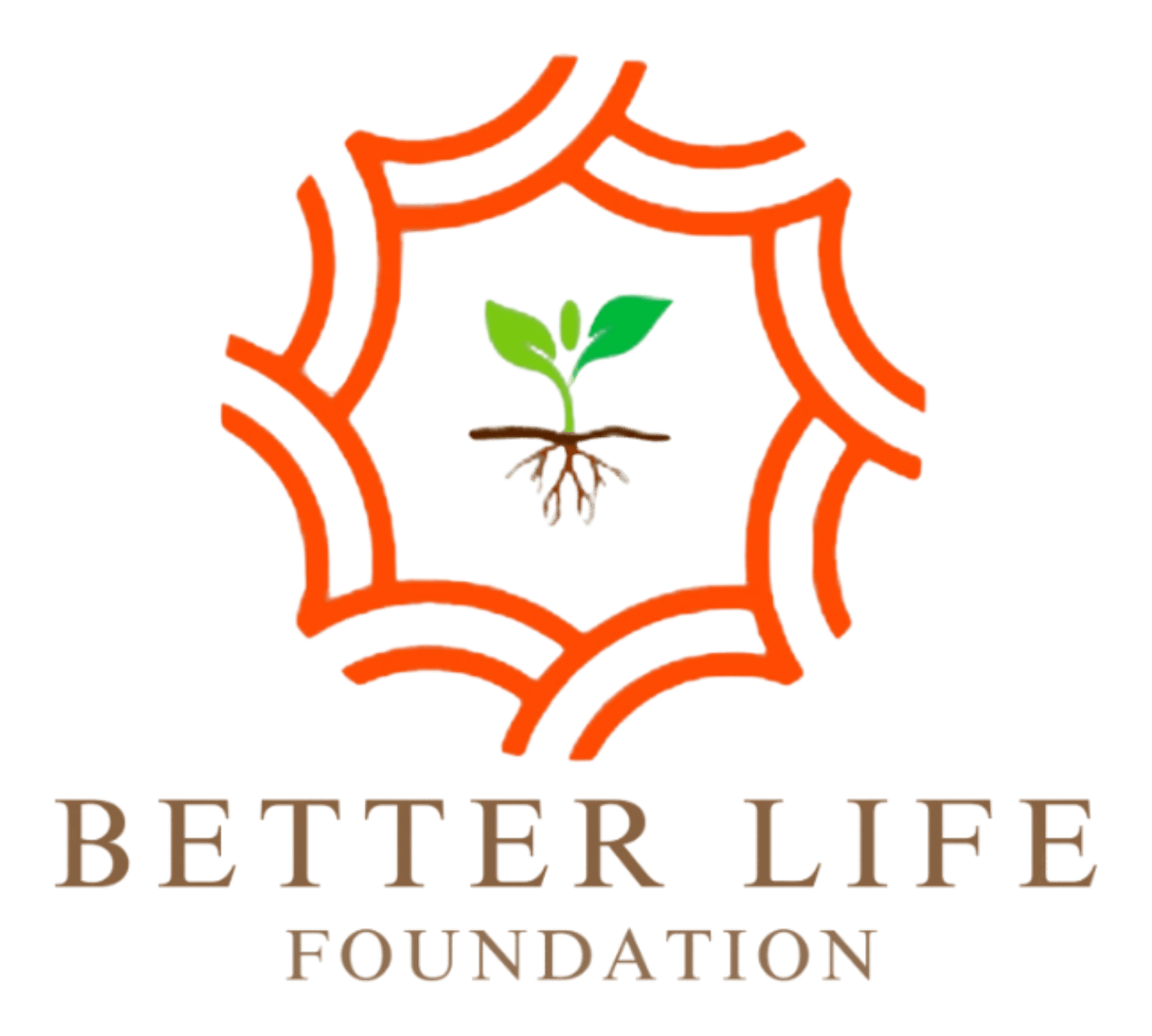 Better Life Foundation (2009)